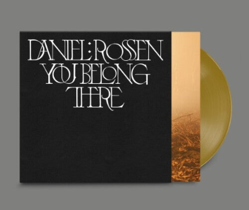 Daniel Rossen: You Belong There / RECORD
