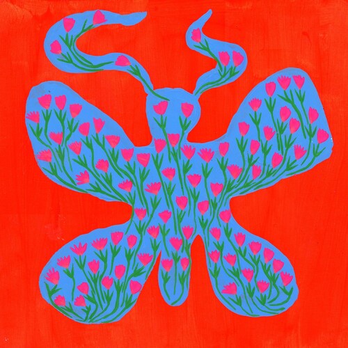 Dehd: Blue Skies / RECORD
