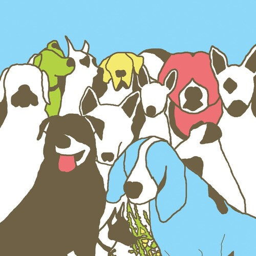 The Format: Dog Problems / RECORD
