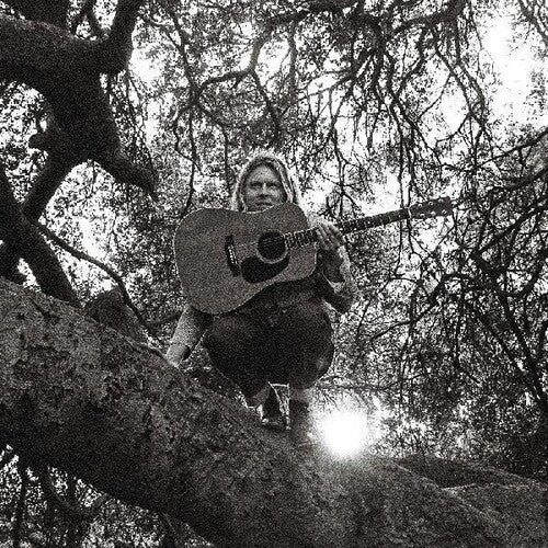 Ty Segall: Hello Hi / RECORD