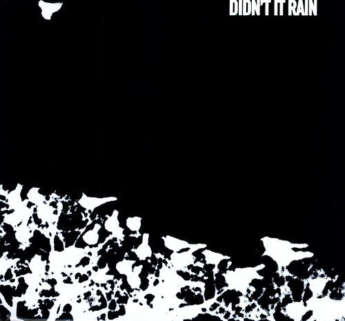 Songs: Ohia: Didn't It Rain / RECORD