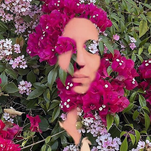 Daisy Press: You Are The Flower Music From Hildegard Von Bingen  { CD }