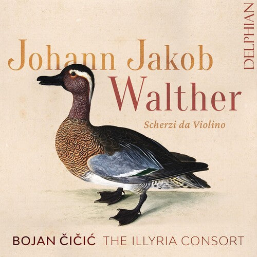Bojan Cicic: Johann Jakob Walther: Scherzi Da Violino Solo  { CD }