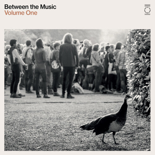 Various Artists: End Of The Road Presents: Between The Music / Var  / Vinyl LP