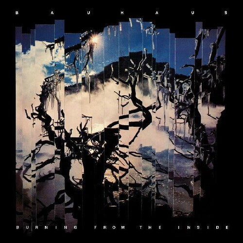 Bauhaus: Burning From The Inside / RECORD