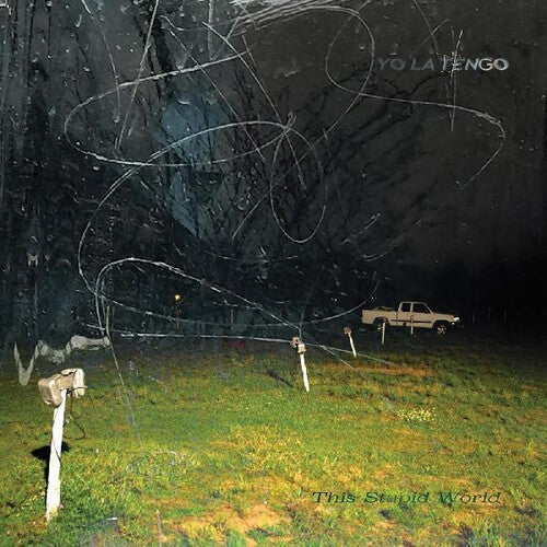 Yo La Tengo: This Stupid World / RECORD