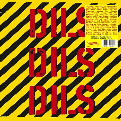 Dils: Dils Dils Dils / RECORD