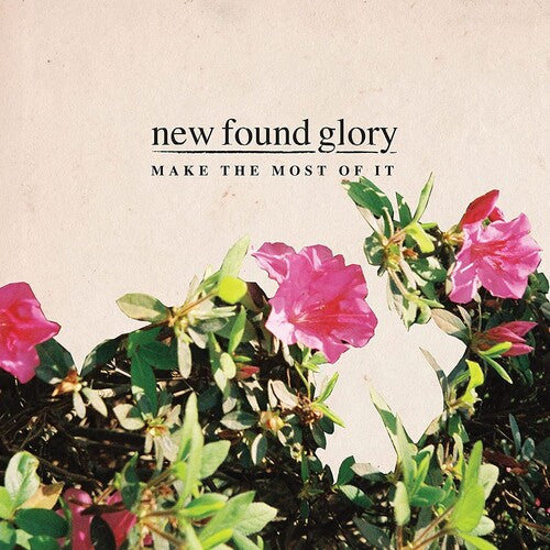 New Found Glory: Make The Most Of It / RECORD