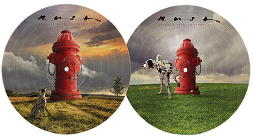 Rush: Signals (40th Anniversary) / RECORD
