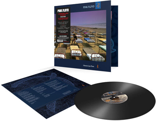 Pink Floyd: Momentary Lapse Of Reason / RECORD