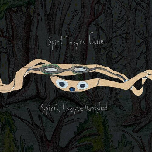 Animal Collective: Spirit They're Gone Spirit They've Vanished - VINYL