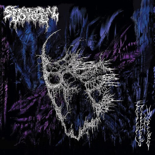 Spectral Voice: Eroded Corridors Of Unbeing / RECORD