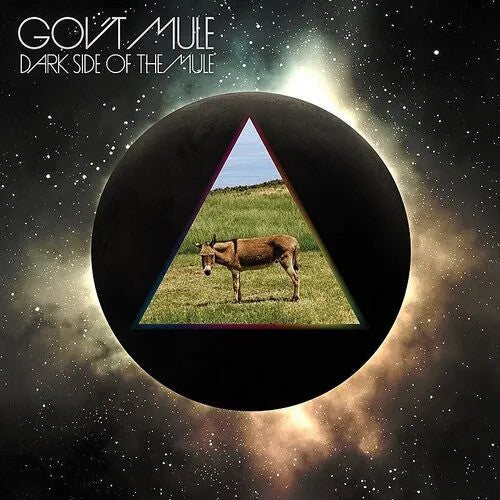 Gov't Mule: Dark Side Of The Mule / RECORD