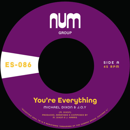 Michael Dixon: You're Everything B/w You're All I Need - Purple - 7-INCH SINGLE