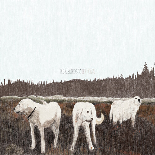 Foxing: The Albatross: Ten Years / RECORD