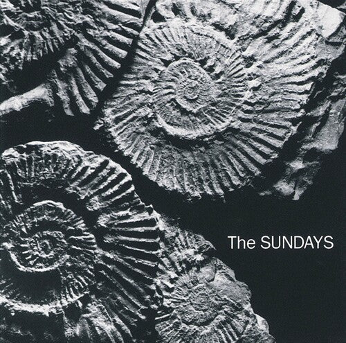 The Sundays: Reading, Writing, And Arithmetic / RECORD