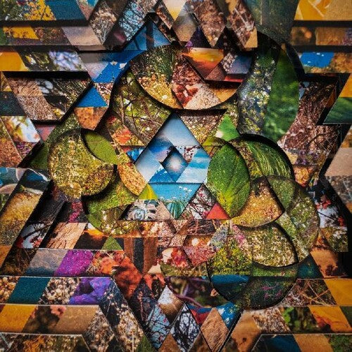 Miguel Atwood-Ferguson: Les Jardins Mystiques 1 - VINYL