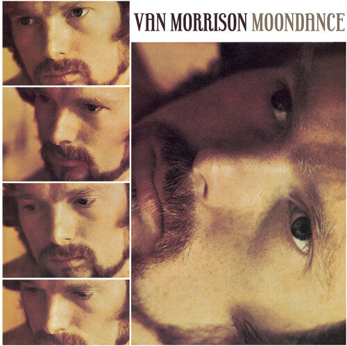 Van Morrison: Moondance / RECORD