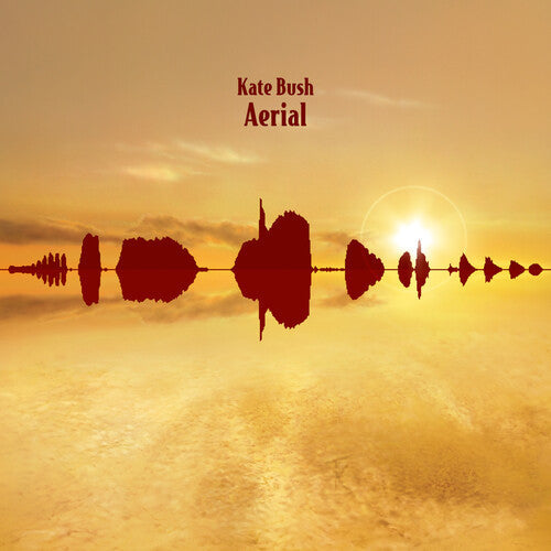 Kate Bush: Aerial - 2018 Remaster 180gm Black Vinyl / RECORD