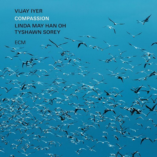 Vijay Iyer: Compassion - CD