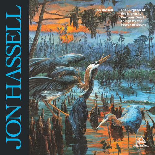 Jon Hassell: Surgeon Of The Nightsky Restores Dead Things By The Power Of Sound  / Vinyl LP
