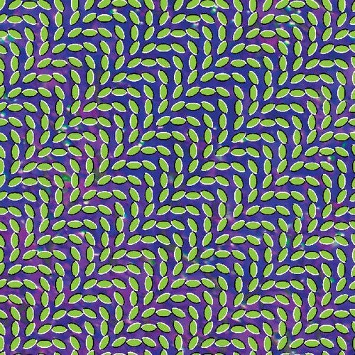 Animal Collective: Merriweather Post Pavilion / RECORD