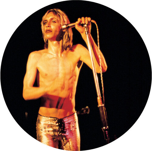 Iggy & The Stooges: More Power / RECORD