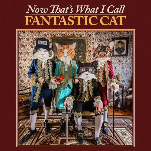 Fantastic Cat: Now That's What I Call Fantastic Cat / RECORD