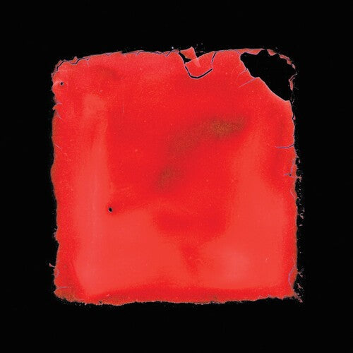 Salvia Palth: Last Chance To See / RECORD