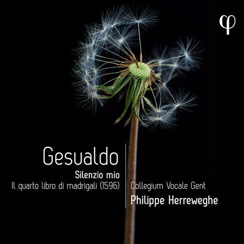 Melodie Ruvio: Gesualdo: Silenzio mio - Il quarto libro di madrigali  { CD }