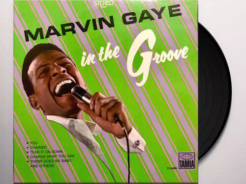 Marvin Gaye: In The Groove / RECORD