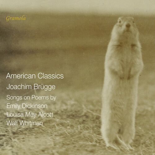 Veronika Loy: Brugge: American Classics - Songs on Poems by Emily Dickinson, Louisa May Alcott & Walt Whitman  { CD }