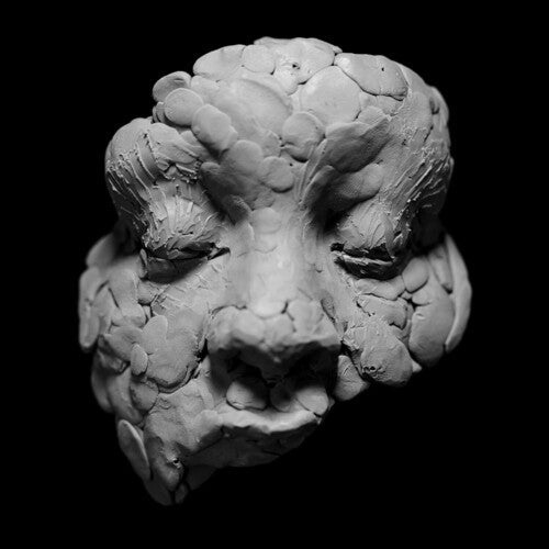 Joy Oladokun: Observations From A Crowded Room / RECORD
