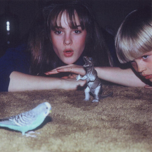 Big Thief: Masterpiece / RECORD