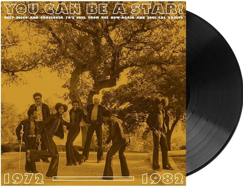 Various Artists: You Can Be A Star: Deep Disco & Crossover 70s Soul From The Now-Again & Soul-Cal Vaults 1972-1982 (Various Artists) - VINYL