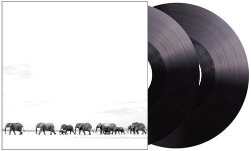 Dave Matthews: Where Are You Going: The Singles / RECORD