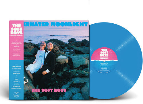 The Soft Boys: Underwater Moonlight / RECORD