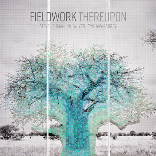 Fieldwork: Thereupon / RECORD