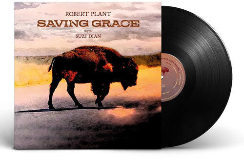 Robert Plant: Saving Grace / RECORD