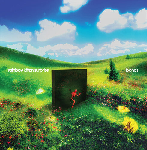 Rainbow Kitten Surprise: bones     (Black Vinyl) / RECORD
