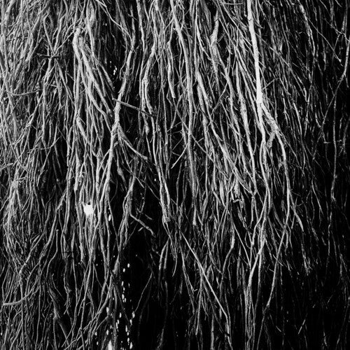 Eraldo Bernocchi: Nocturnal Rainforest / RECORD