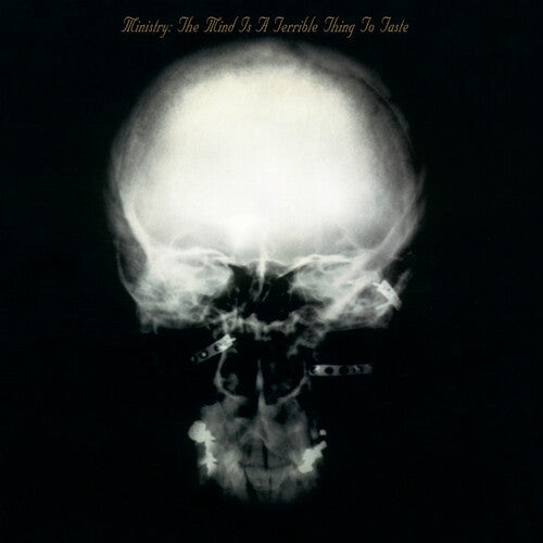 Ministry: The Mind Is A Terrible Thing To Taste / RECORD