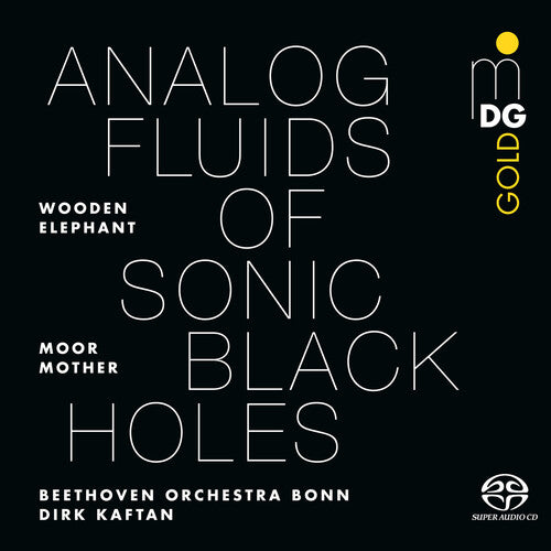 Moor Mother: Analog Fluids of Sonic Black Holes / RECORD