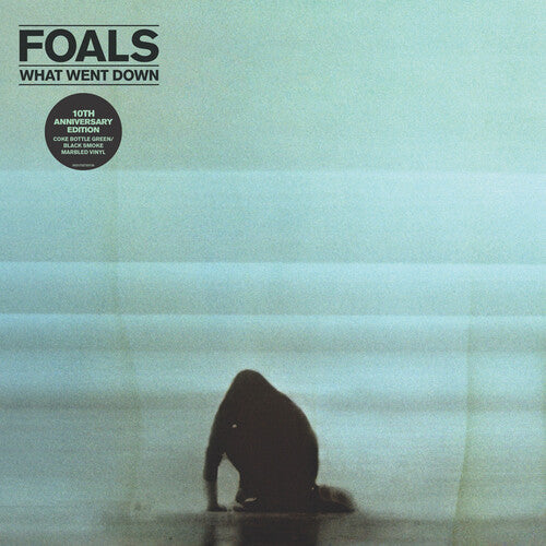 Foals: What Went Down / RECORD