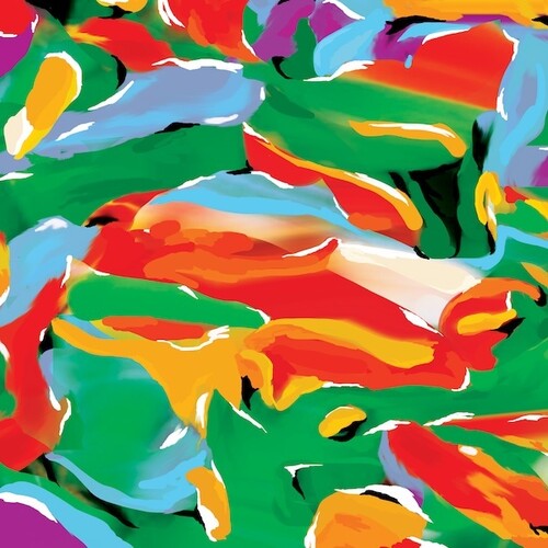 Auntie Flo: Birds Of Paradise  / Vinyl LP