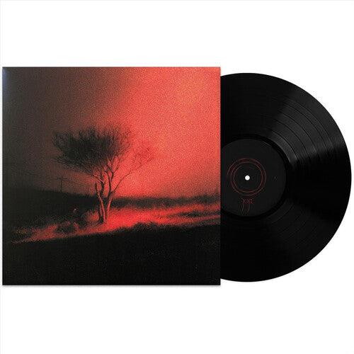 Joji: Piss In The Wind / RECORD