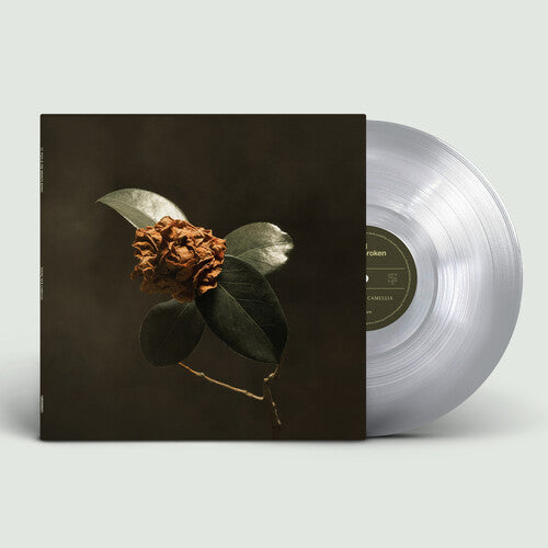 St. Paul & the Broken Bones: Young Sick Camellia / RECORD