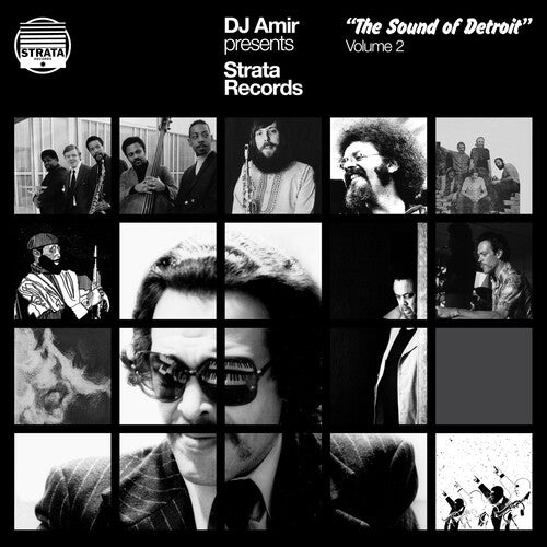 DJ Amir: Dj Amir Presents Strata Records: The Sound Of Detroit Vol. 2 - VINYL