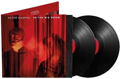 Peter Gabriel: In The Big Room / RECORD