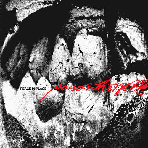 Poison the Well: Peace In Place / RECORD